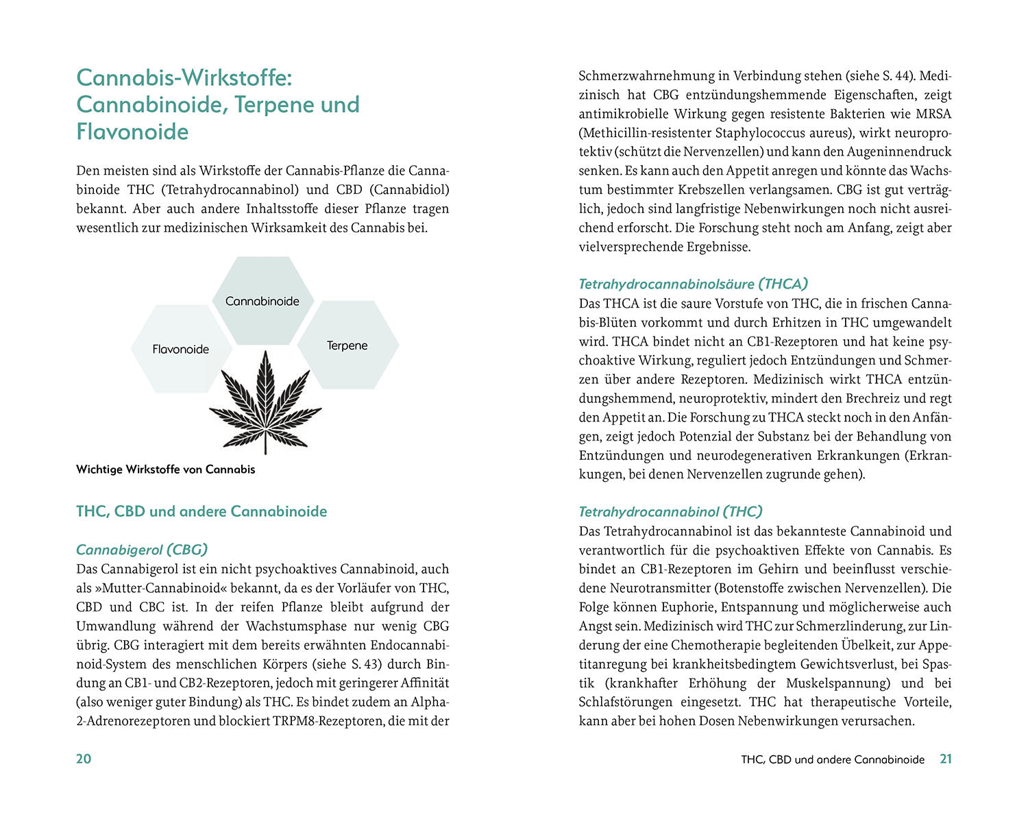 Patient Guide: Cannabis