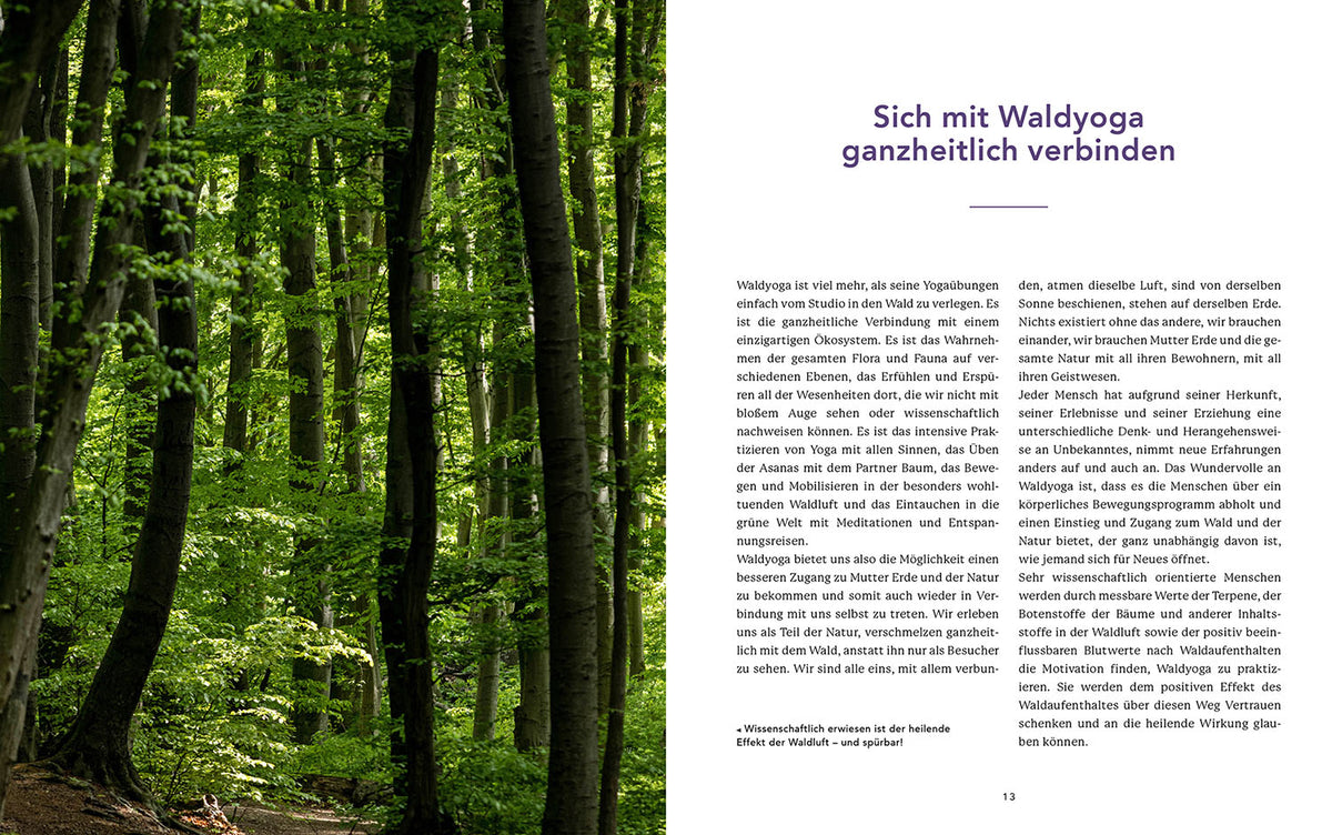 Waldyoga an Orten der Kraft