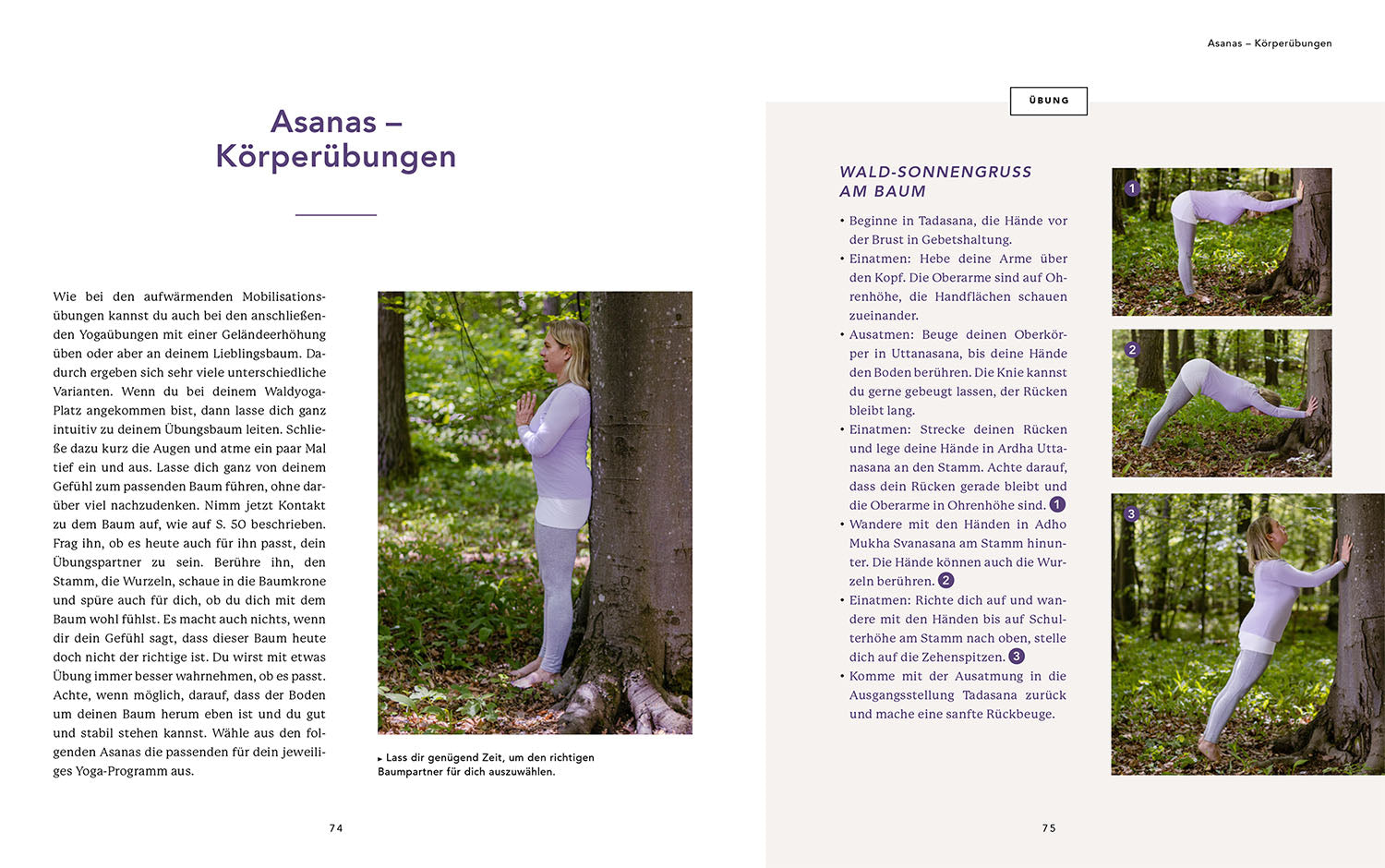 Waldyoga an Orten der Kraft