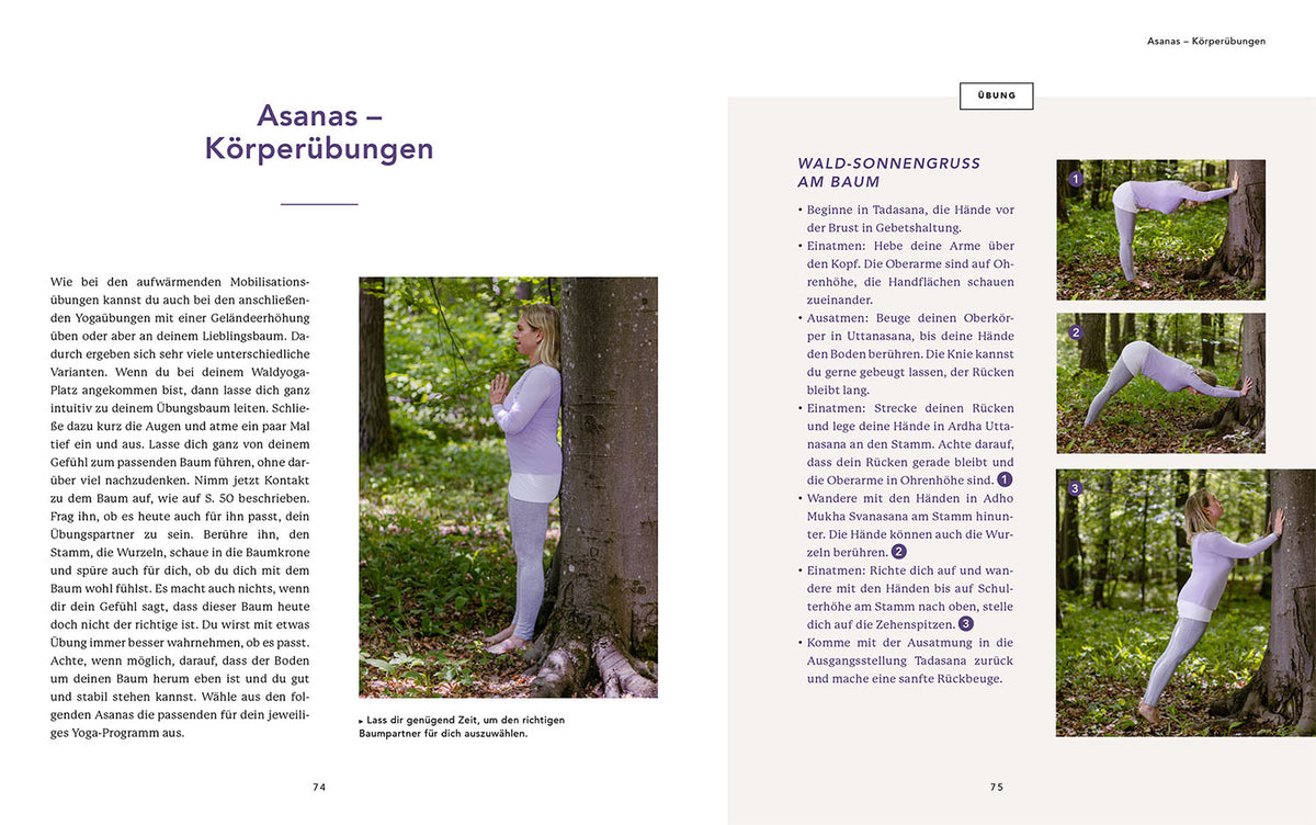 Waldyoga an Orten der Kraft