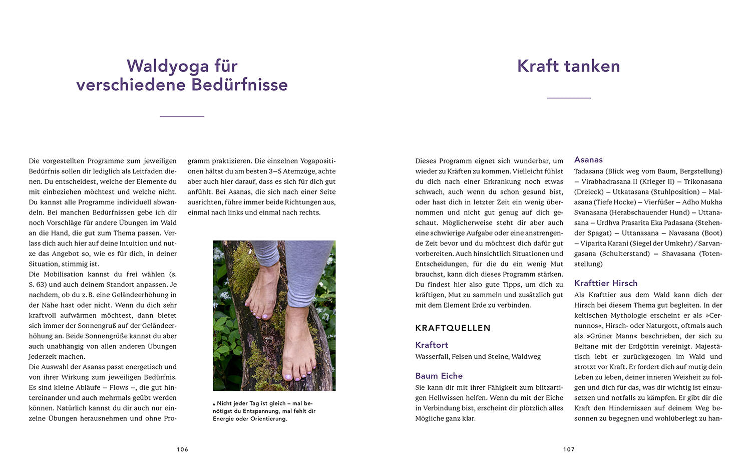 Waldyoga an Orten der Kraft