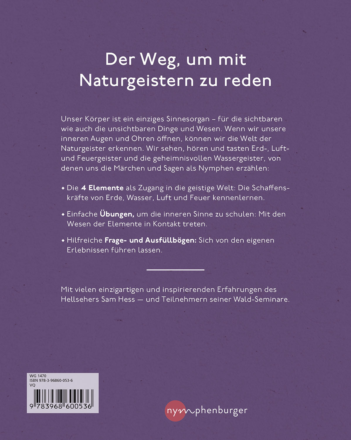 Die Welt der Naturgeister - Das Arbeitsbuch