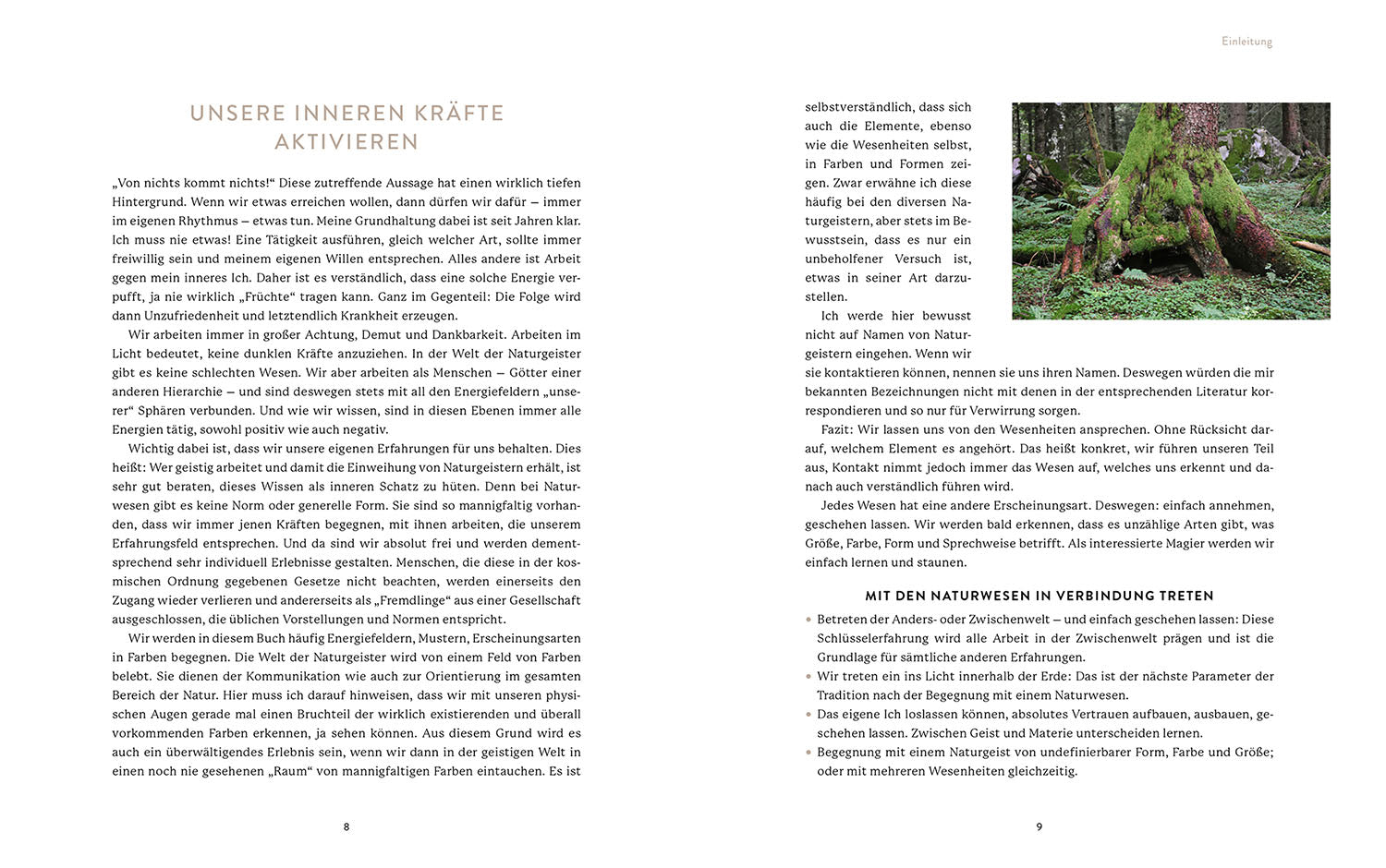 Die Welt der Naturgeister - Das Arbeitsbuch