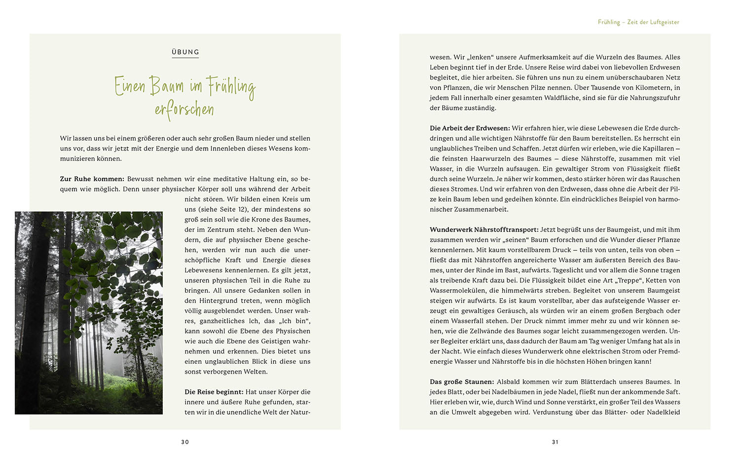 Die Welt der Naturgeister - Das Arbeitsbuch