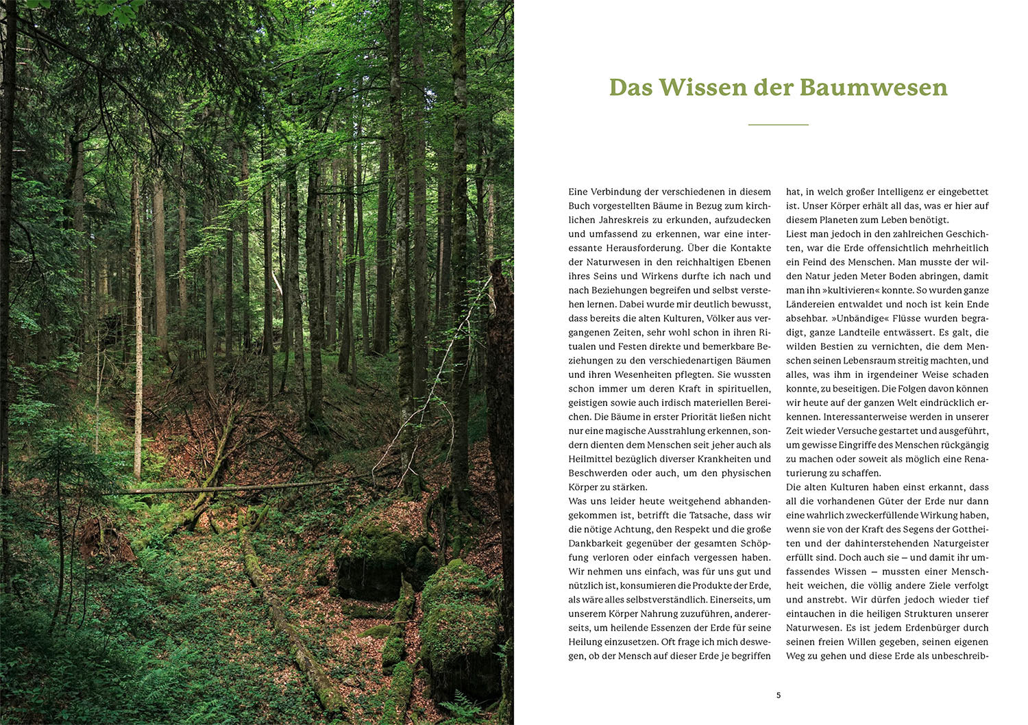 Die Weisheit der Baumwesen