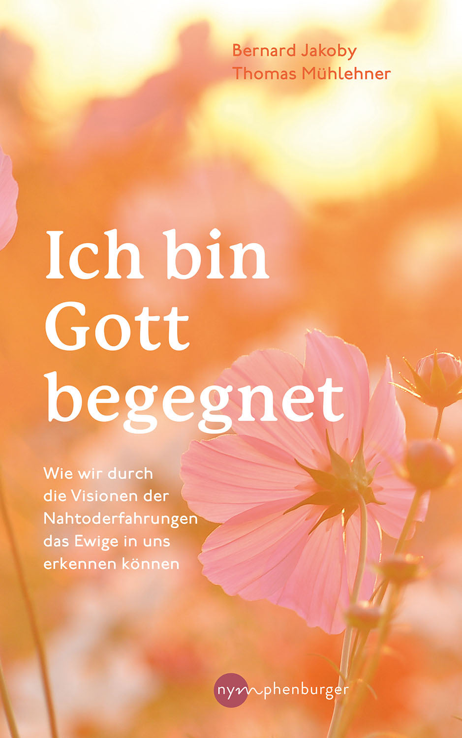 Ich bin Gott begegnet