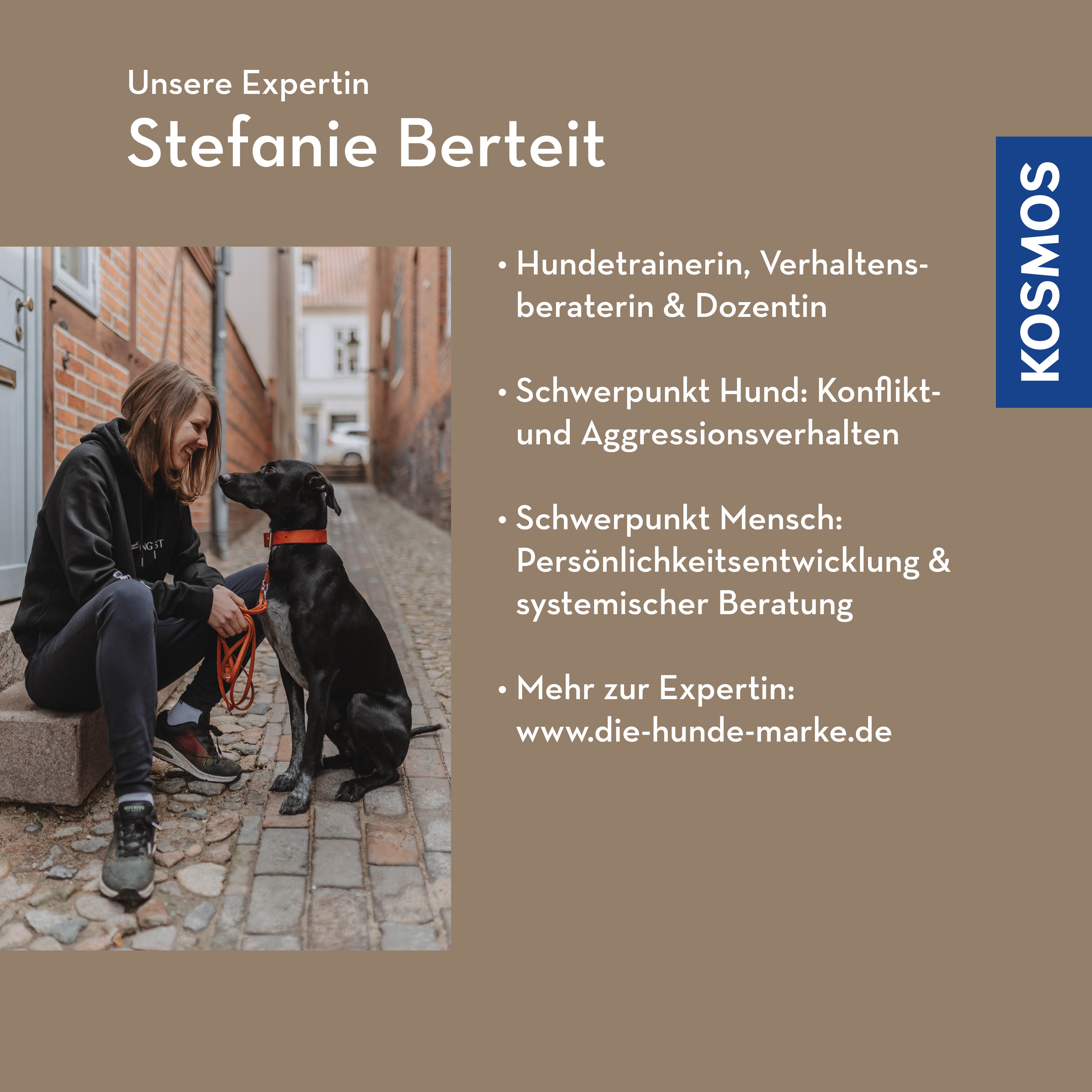 Stellvertreterkonflikte als Chance