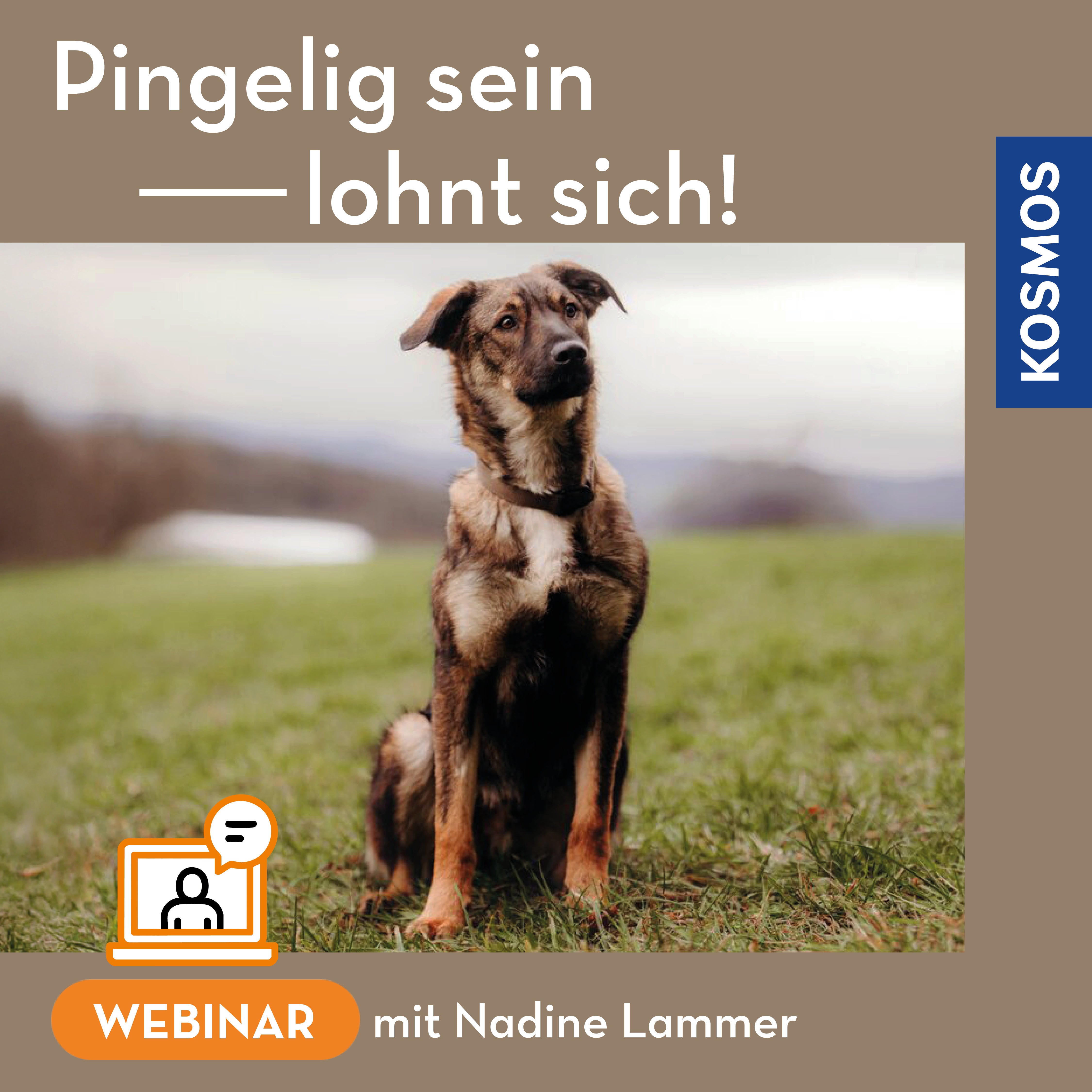Pingelig sein lohnt sich!