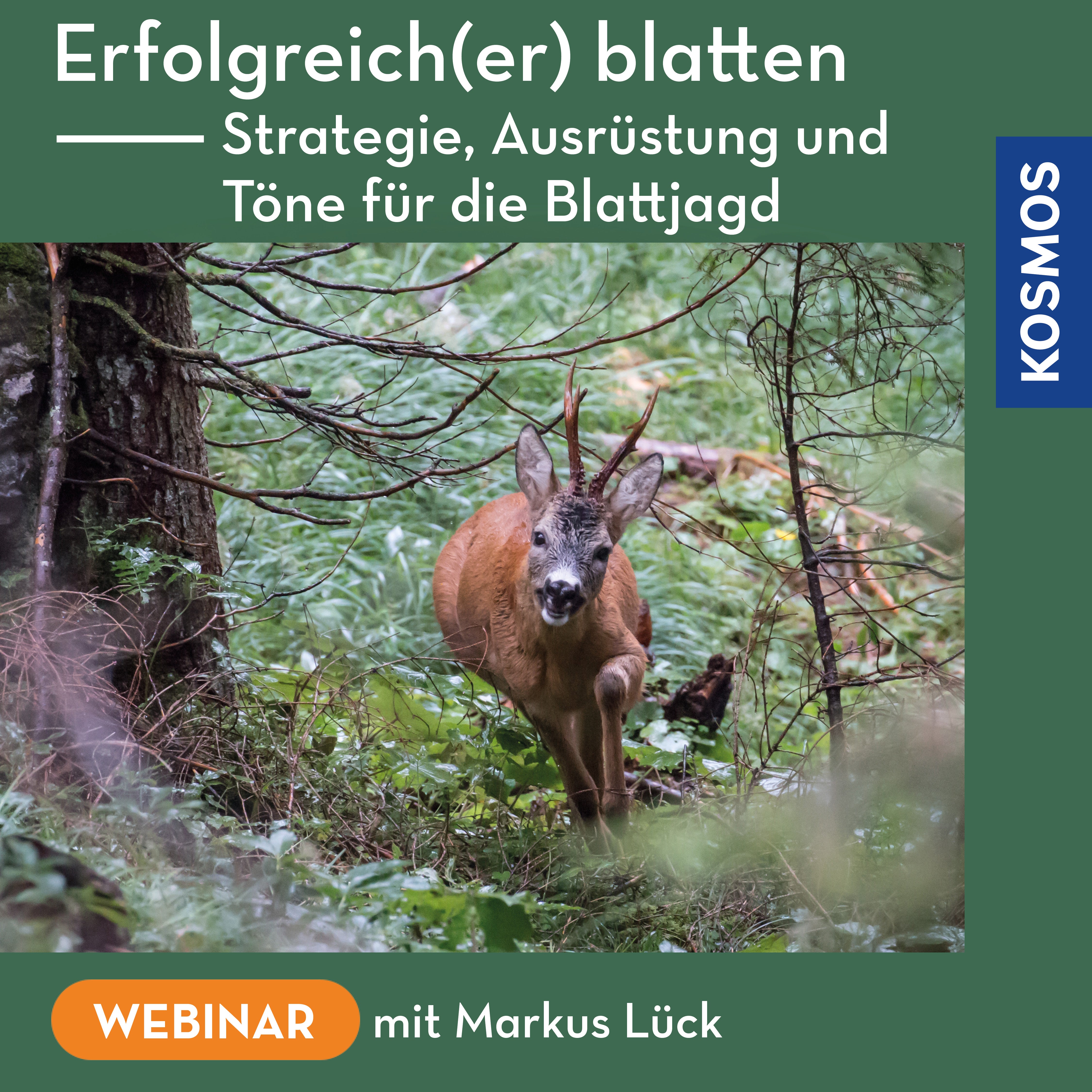 Erfolgreich(er) blatten
