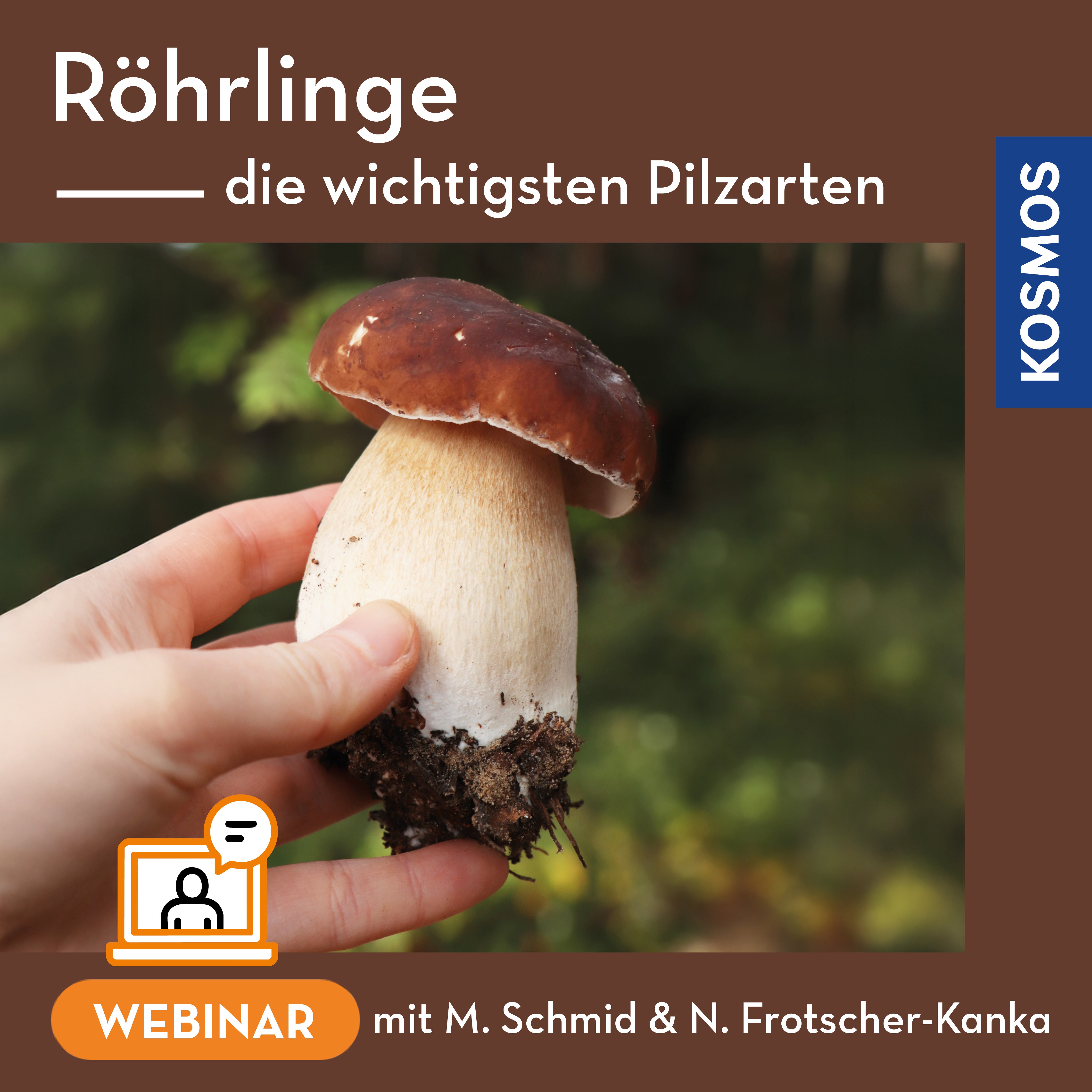 Röhrlinge – die wichtigsten Pilzarten