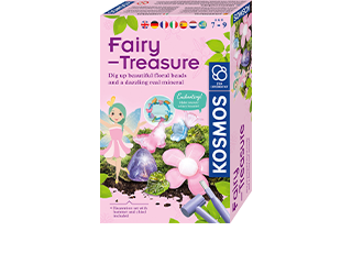 Fairy Treasure