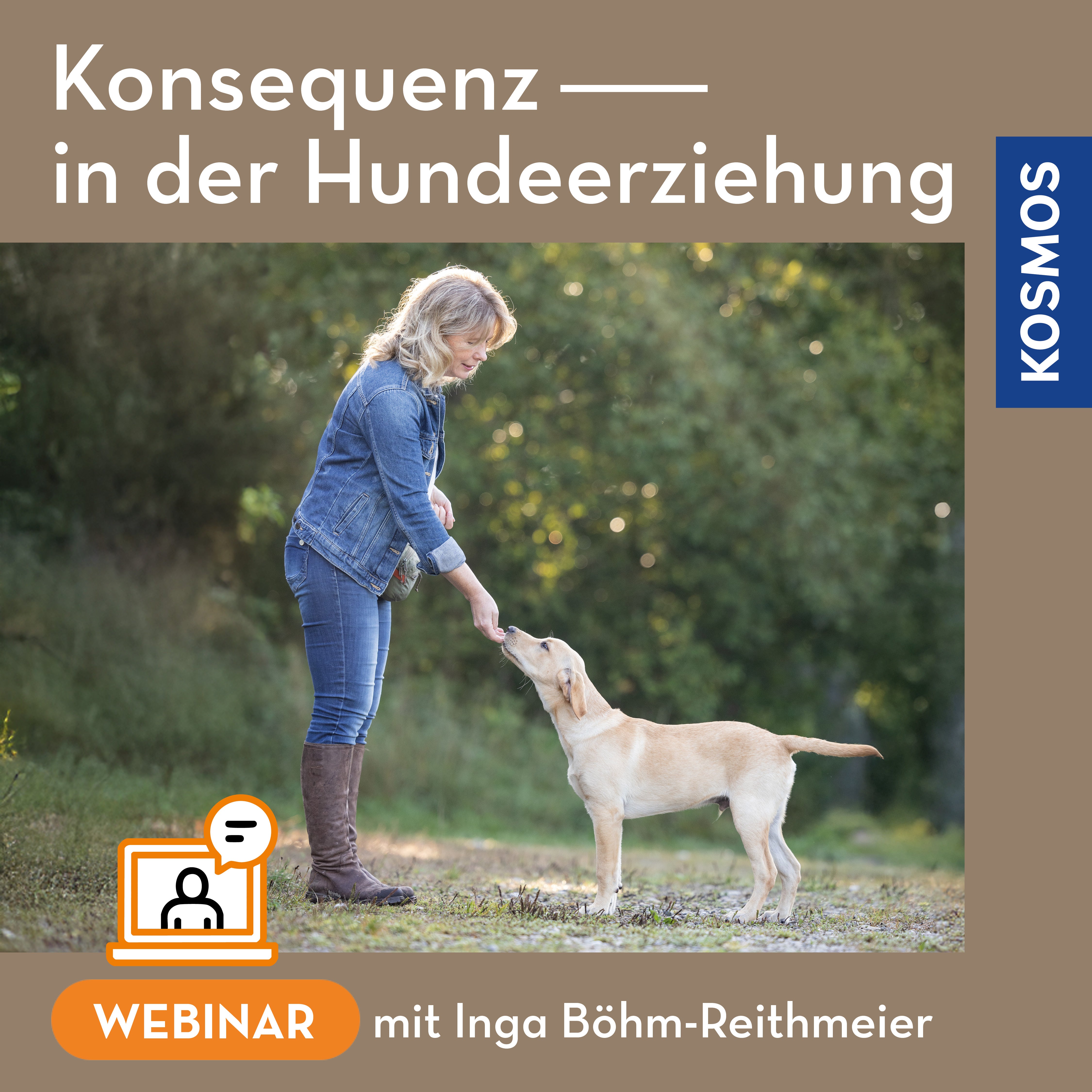Konsequenz in der Hundeerziehung