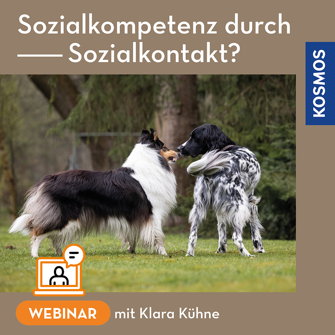 Sozialkompetenz durch Sozialkontakt?