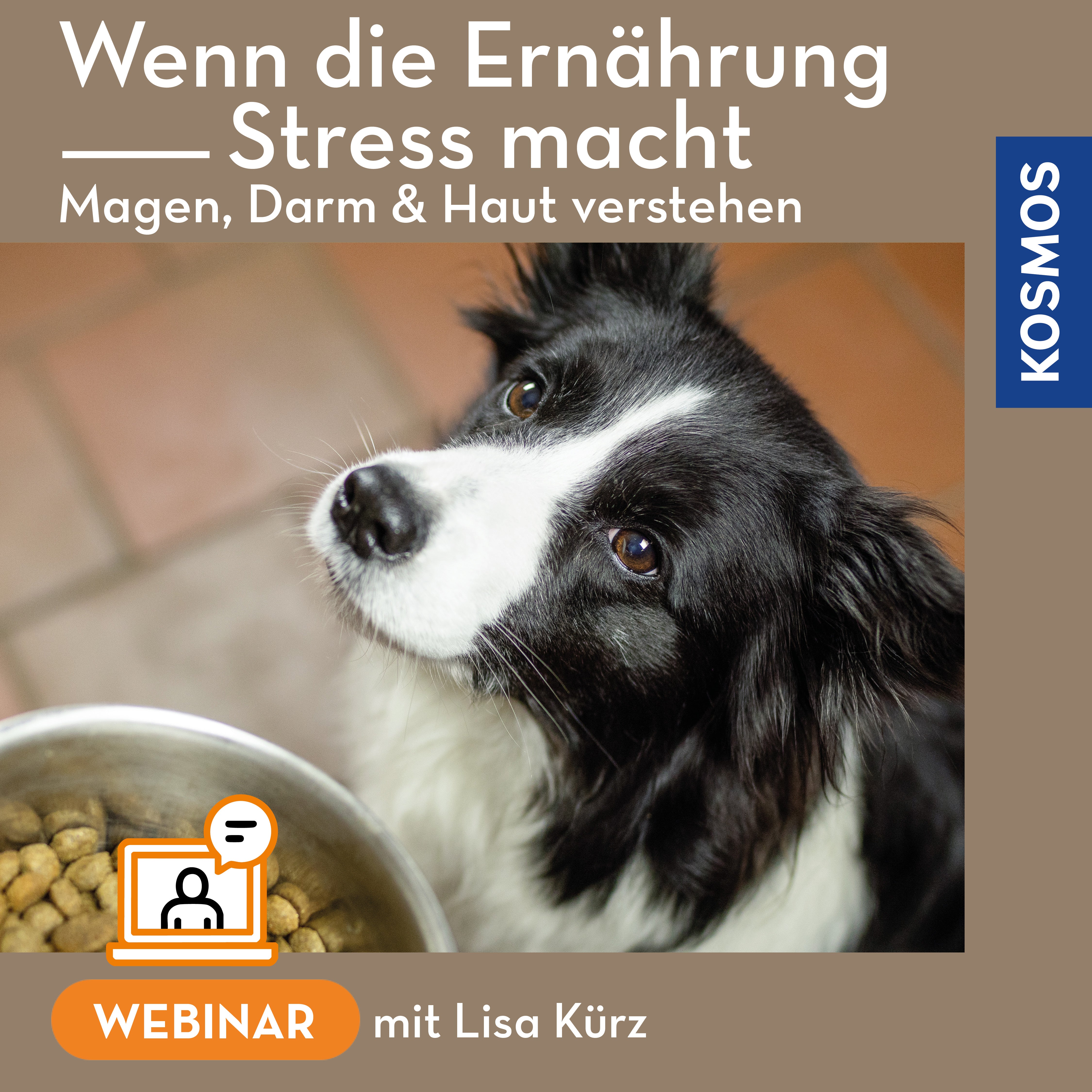 Wenn die Ernährung stress macht – Magen Darm und Haut verstehen