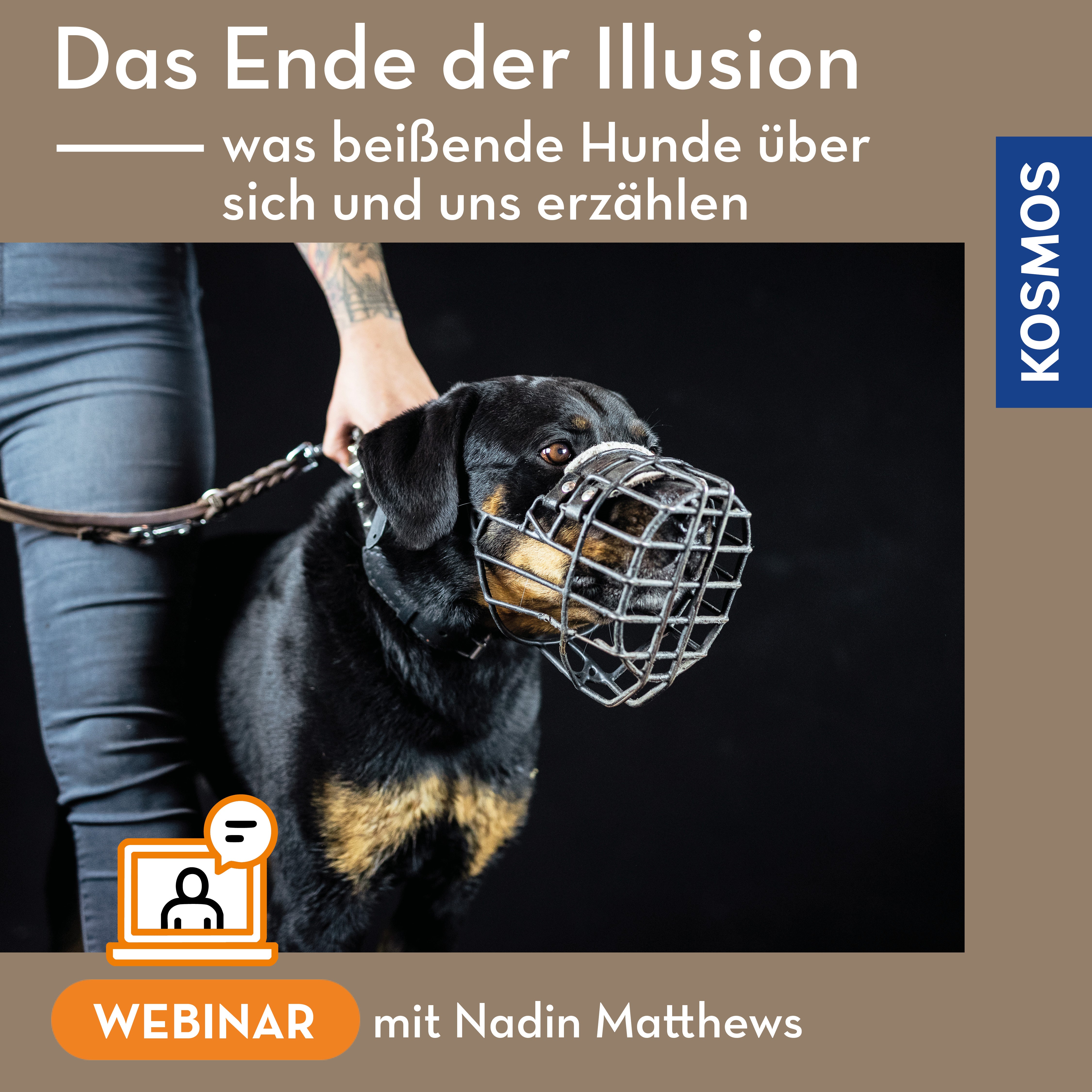 Das Ende der Illusion – was beißende Hunde über sich und uns erzählen