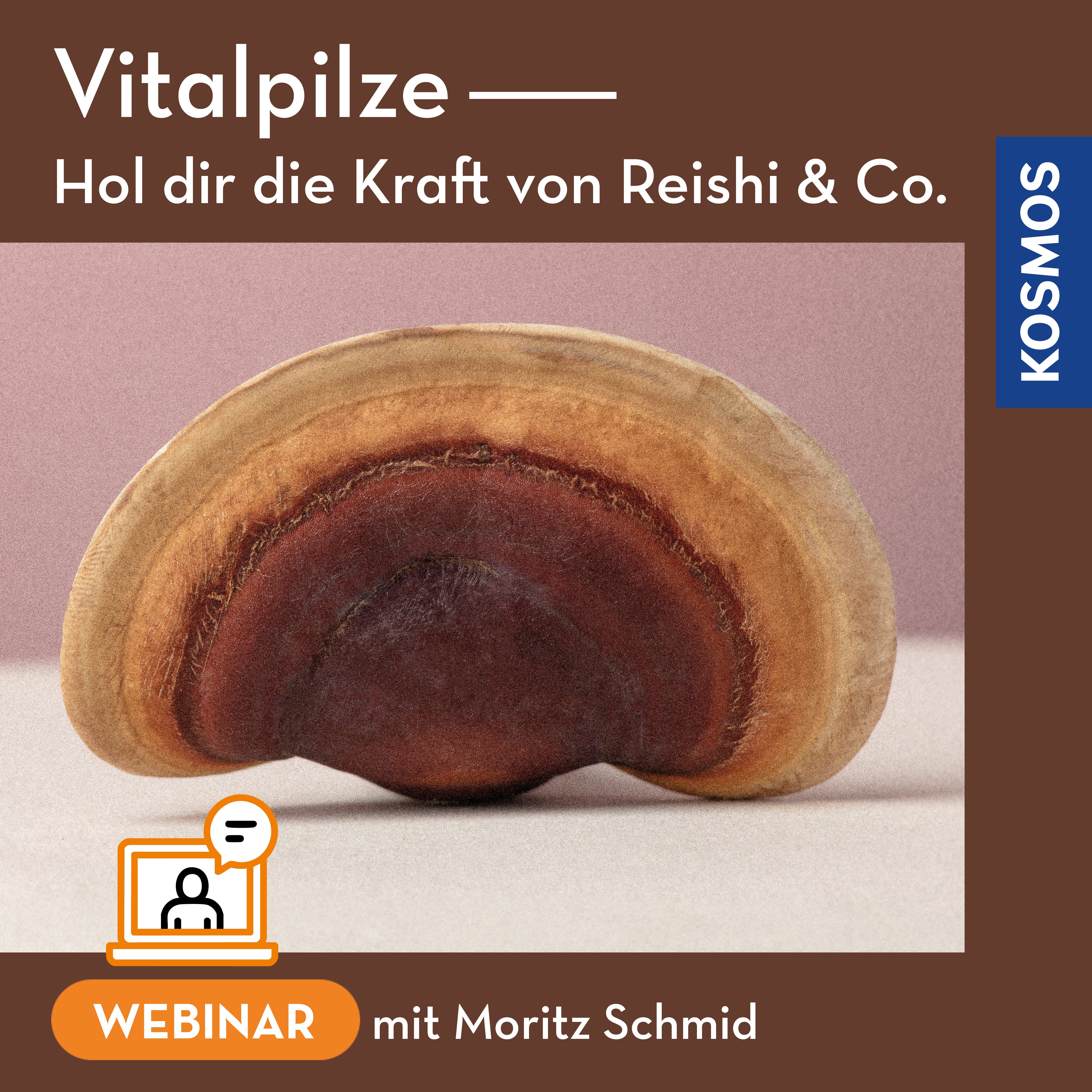 Vitalpilze – hol dir die Kraft von Reishi & Co