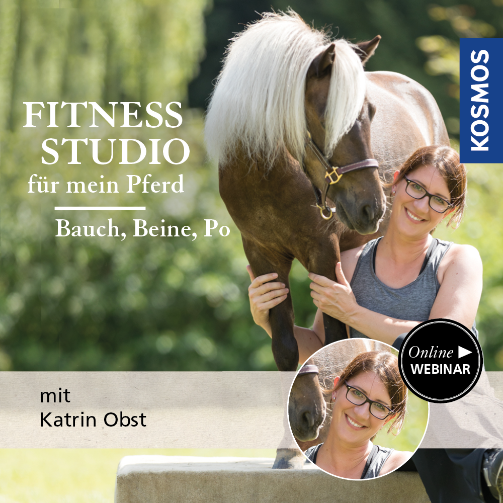 Fitnessstudio für mein Pferd: Bauch, Beine, Po