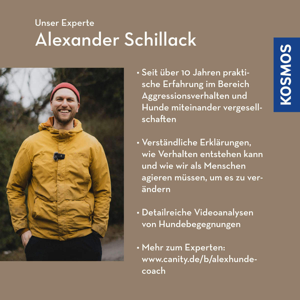 Konfliktverhalten bei Hunden verstehen