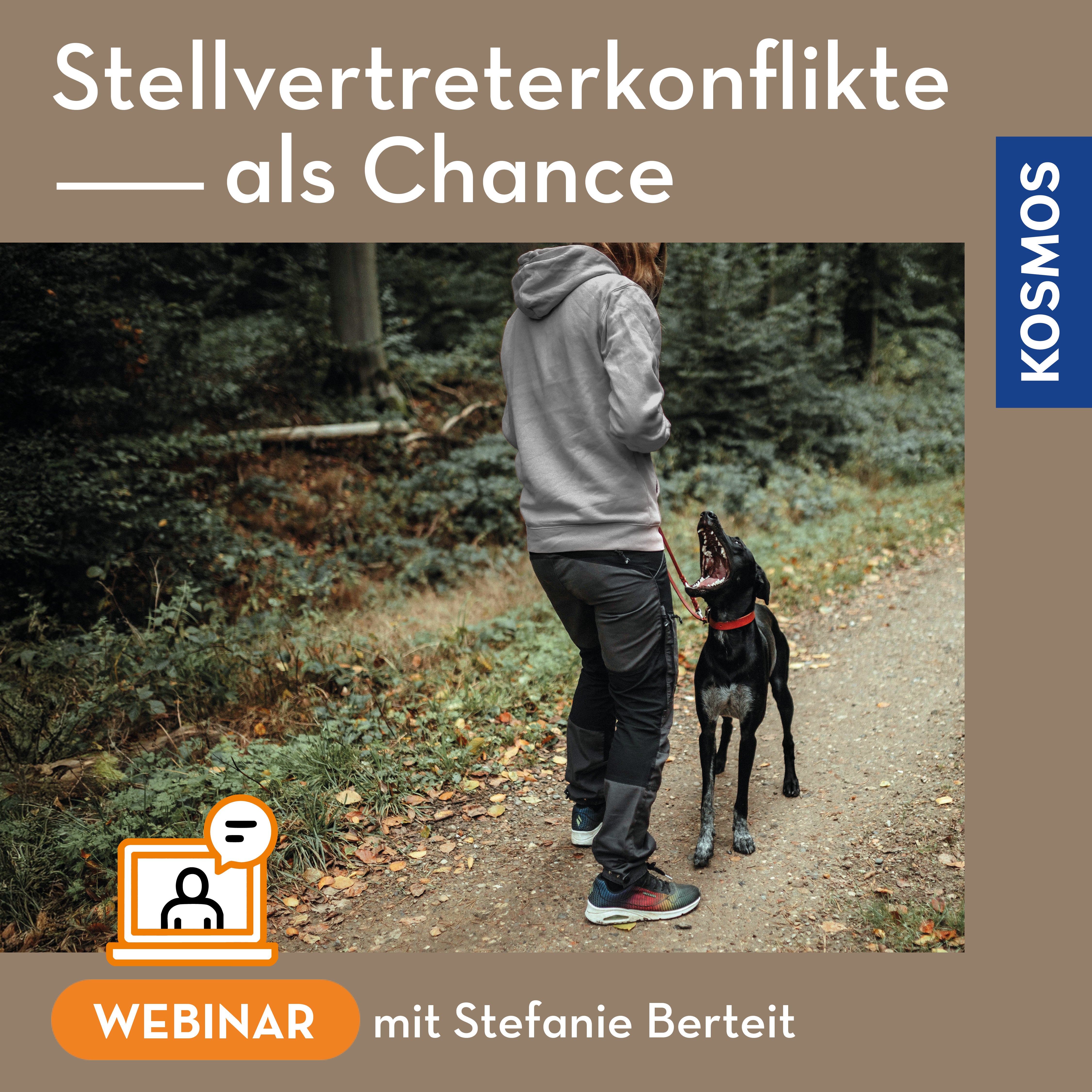 Stellvertreterkonflikte als Chance