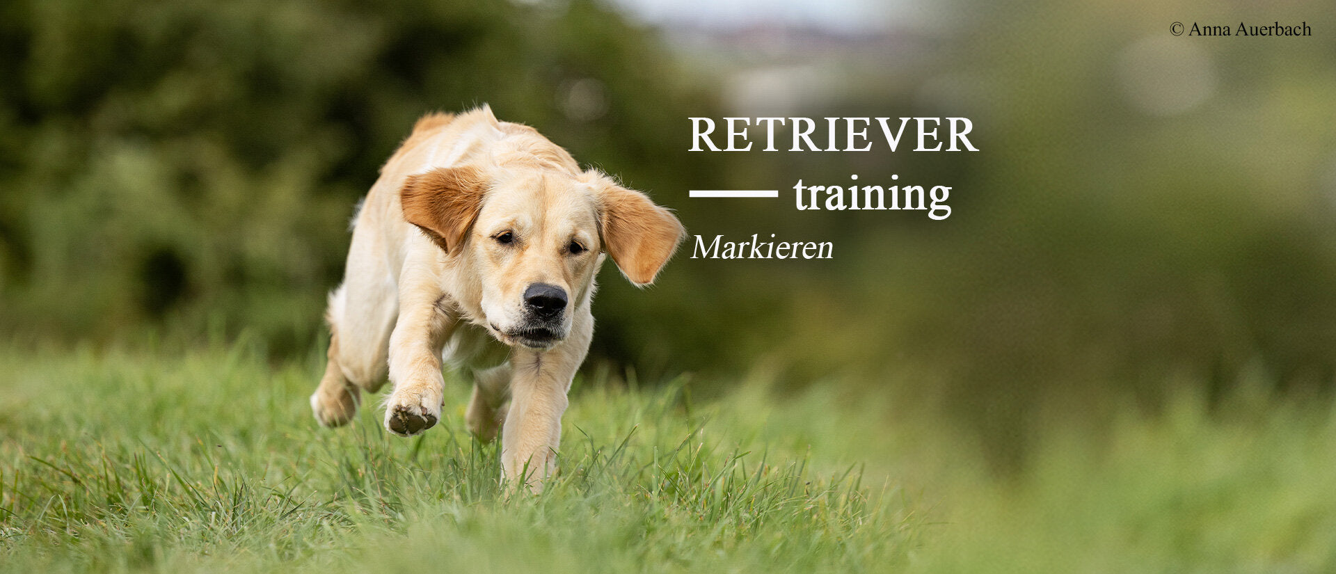 Retrievertraining Markieren – mit Anja Möller & Norma Zvolsky Banner