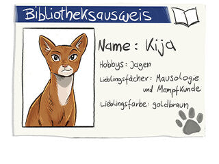 Kija