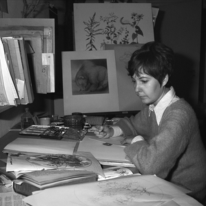 Marianne Golte-Bechtle verstorben: Trauer um langjährige „Was blüht denn da?“-Illustratorin