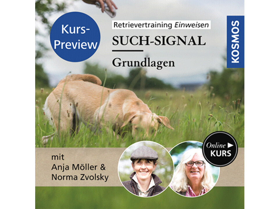 Blick in den Onlinekurs "Einweisen"