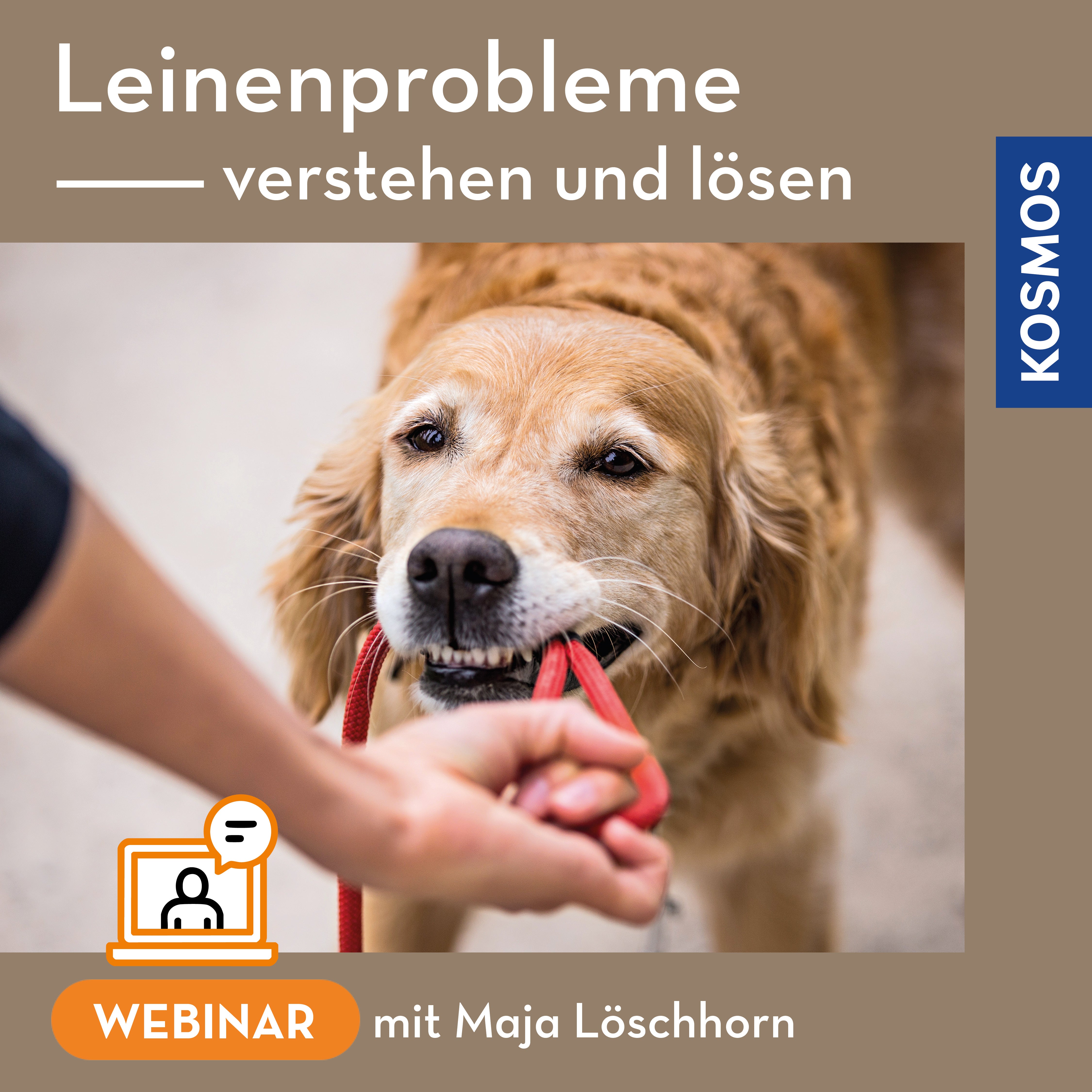 Leinenprobleme verstehen und lösen