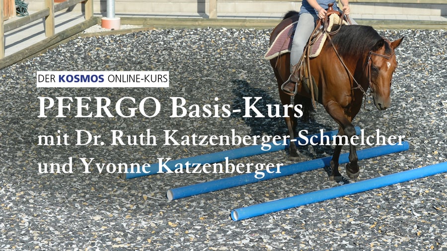 PFERGO Online-Kurs