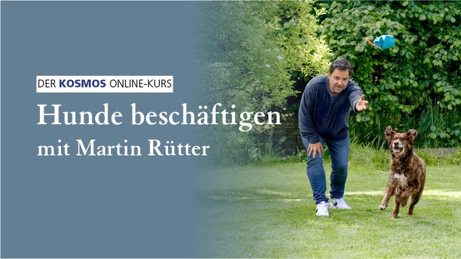 Hunde beschäftigen mit Martin Rütter