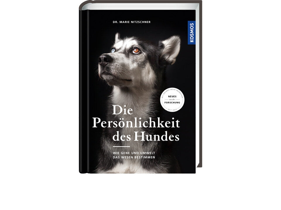 Die Persönlichkeit des Hundes Banner