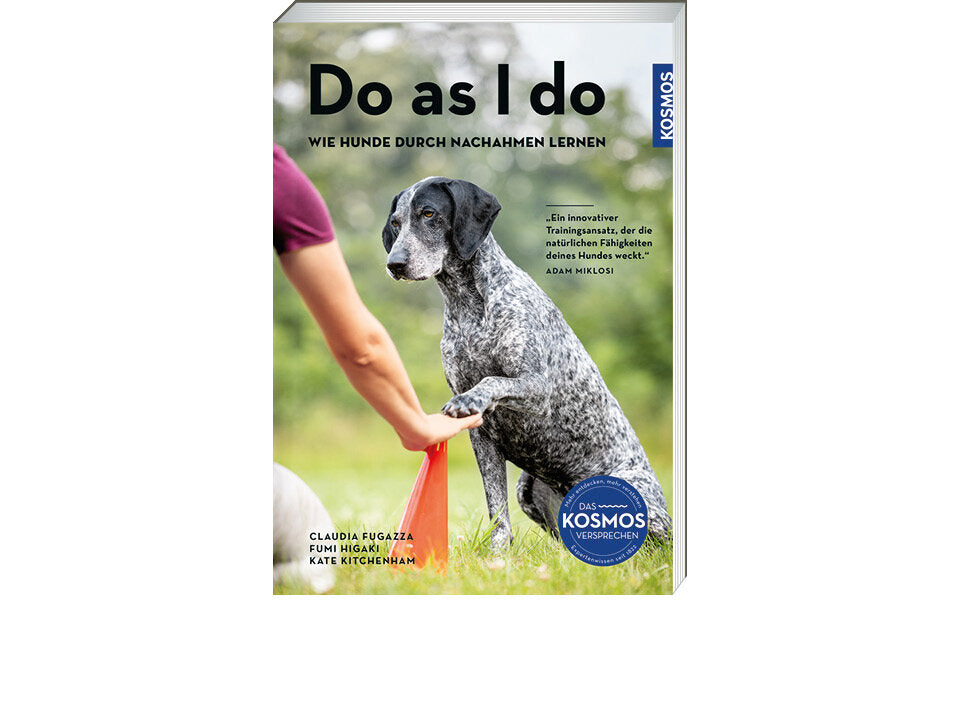 Do as I do Banner