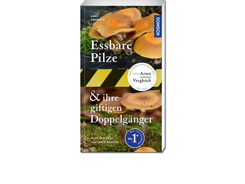 Essbare Pilze und ihre giftigen Doppelgänger Banner