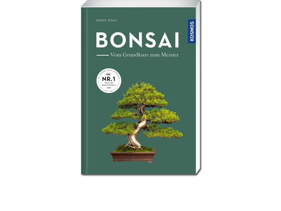 Bonsai - vom Grundkurs zum Meister Banner