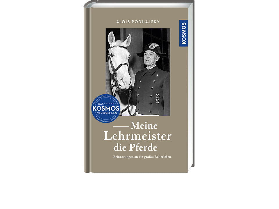 Meine Lehrmeister die Pferde Banner