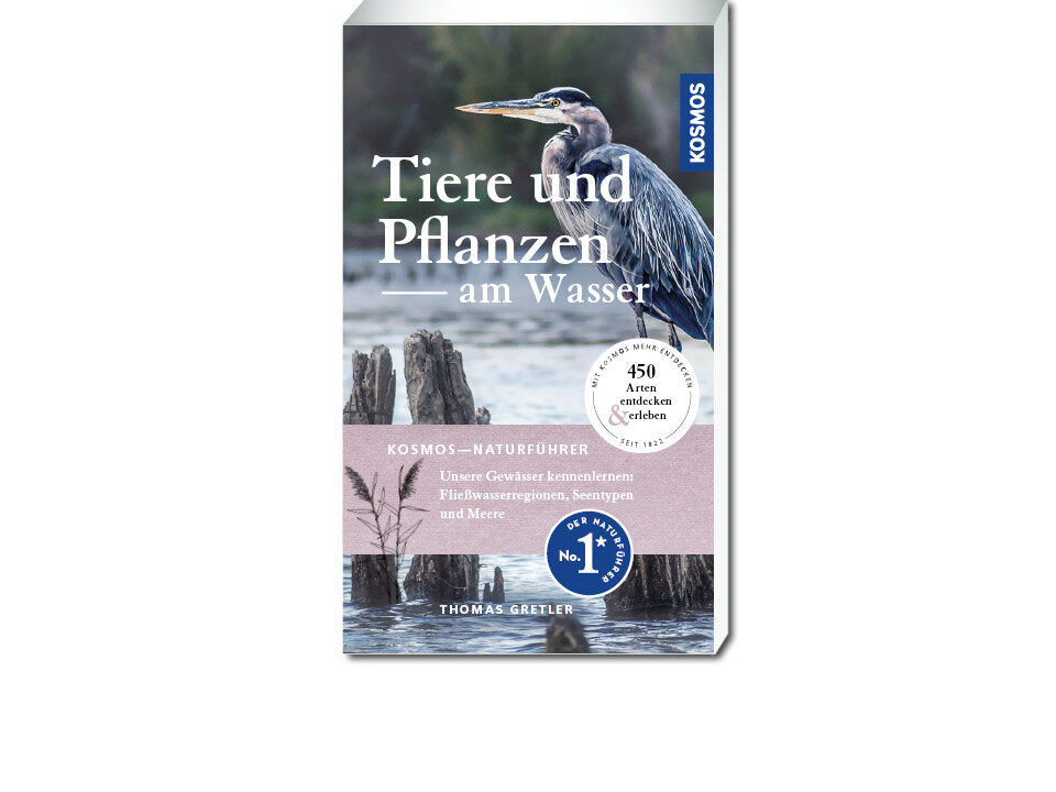 Tiere und Pflanzen am Wasser Banner