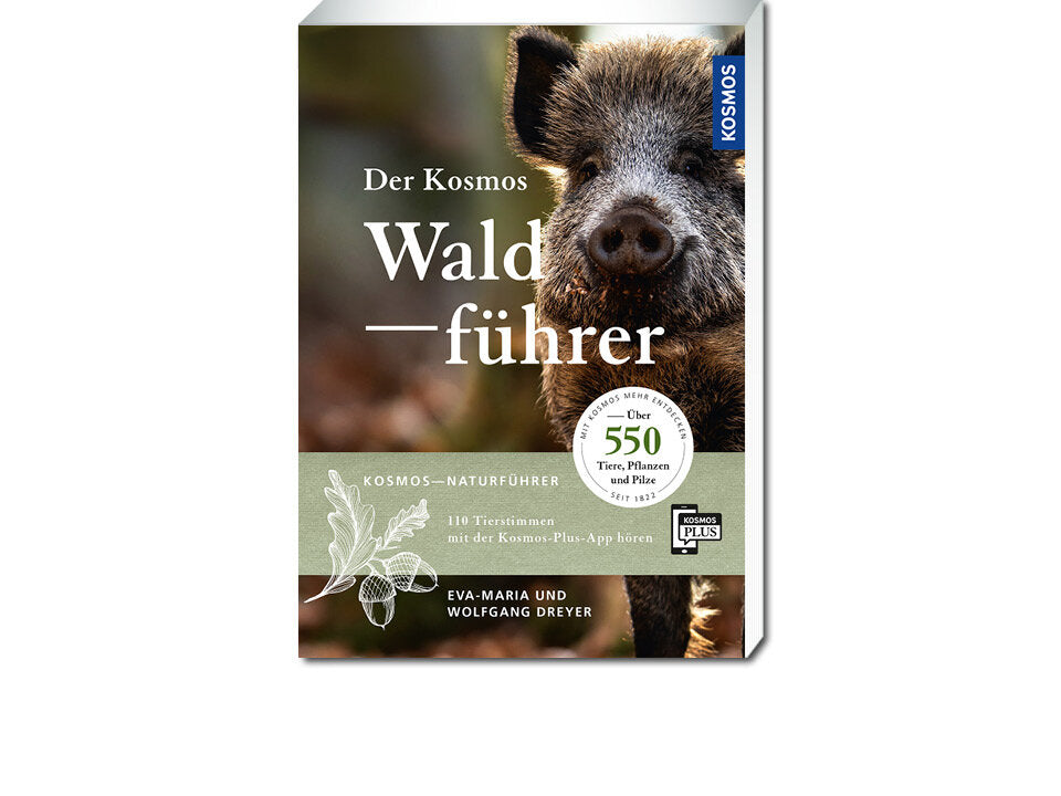 Der Kosmos Waldführer Banner