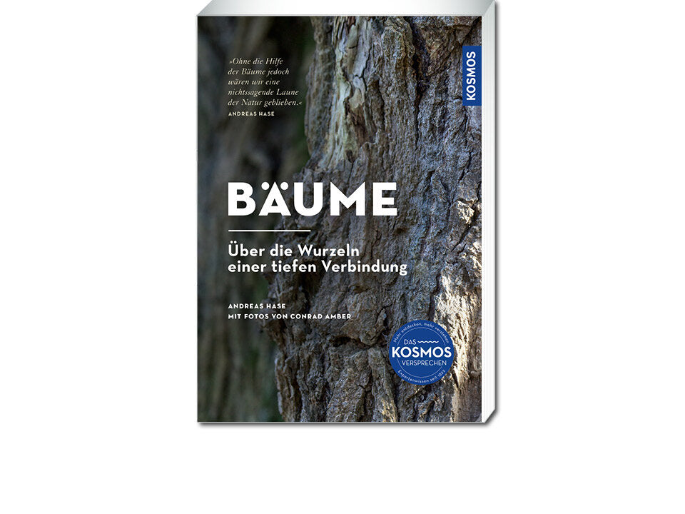 Bäume Banner