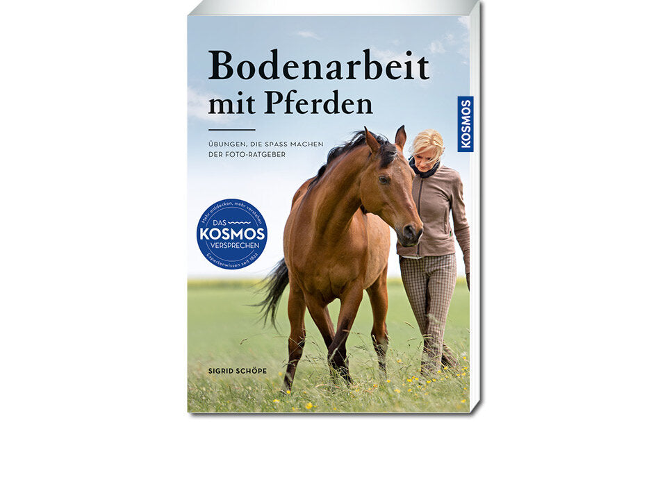 Bodenarbeit mit Pferden Banner