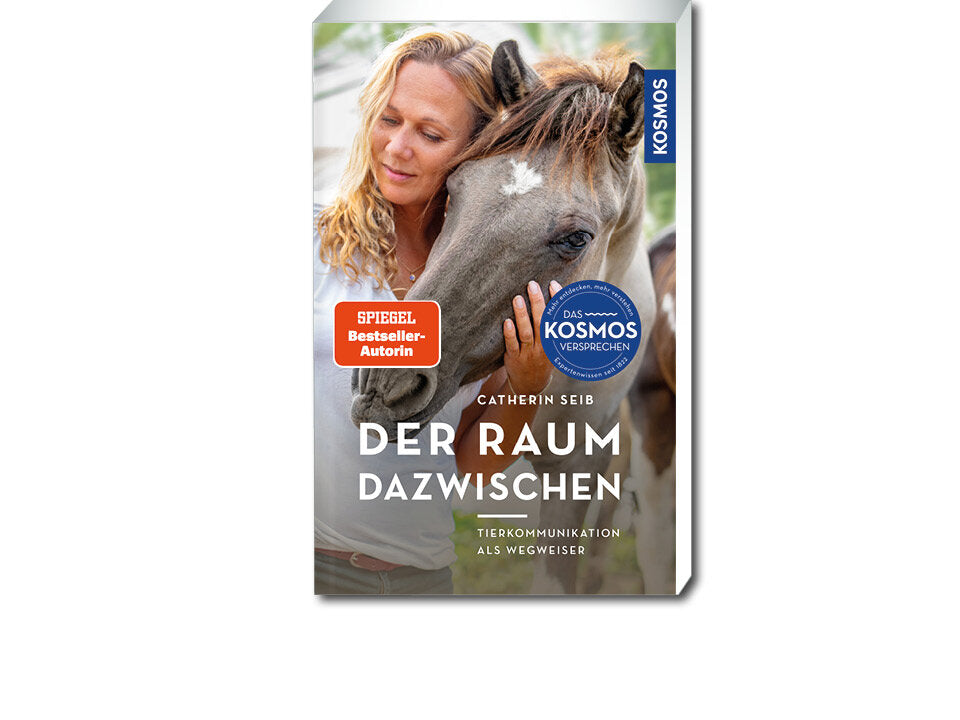 Der Raum dazwischen Banner