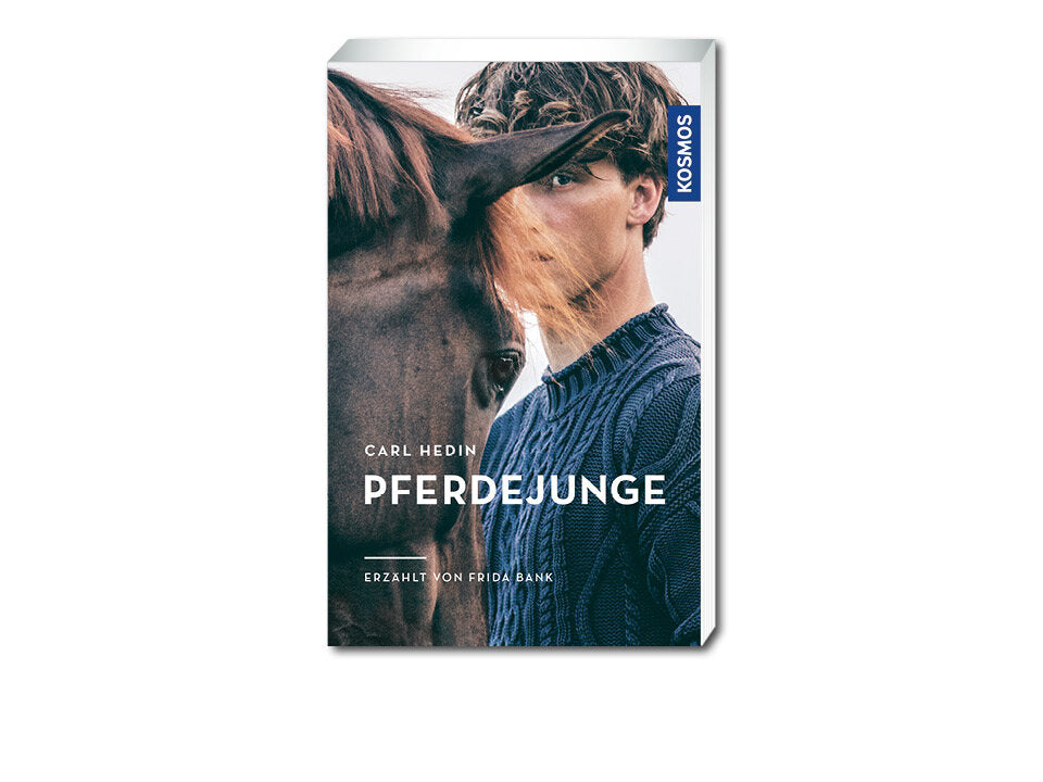 Pferdejunge Banner