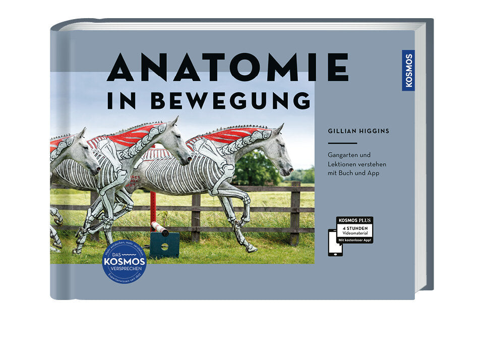 Anatomie in Bewegung Banner