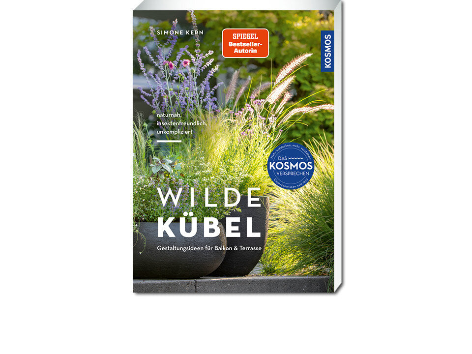 Wilde Kübel Banner