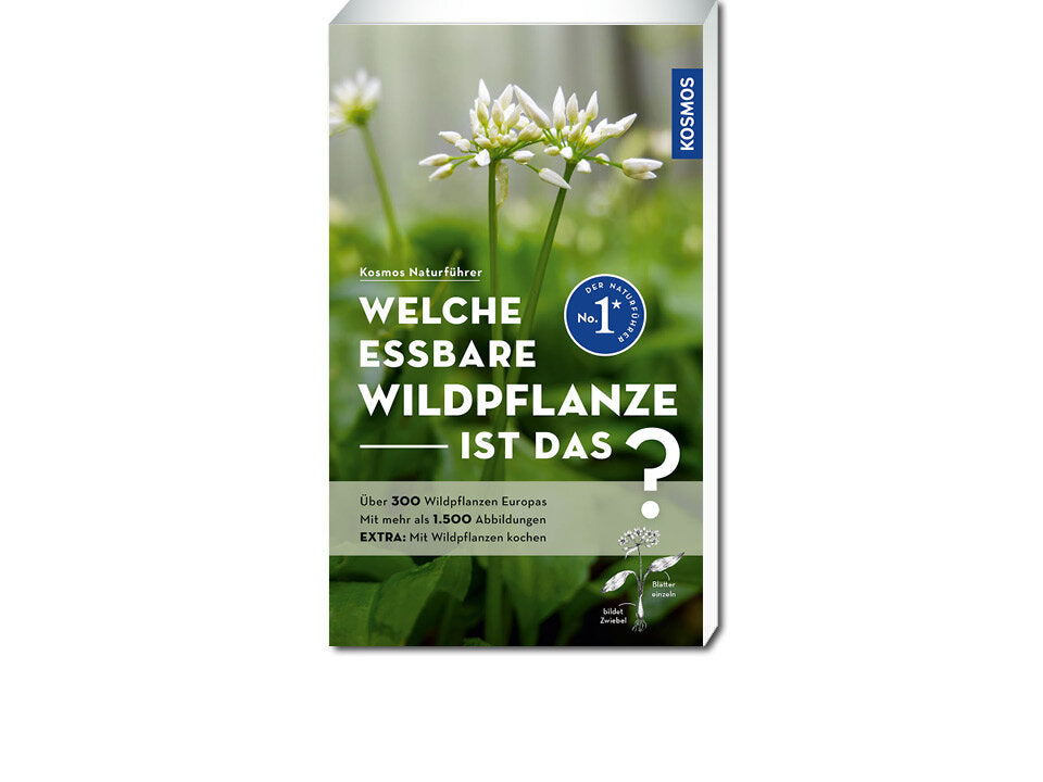 Welche essbare Wildpflanze ist das? Banner