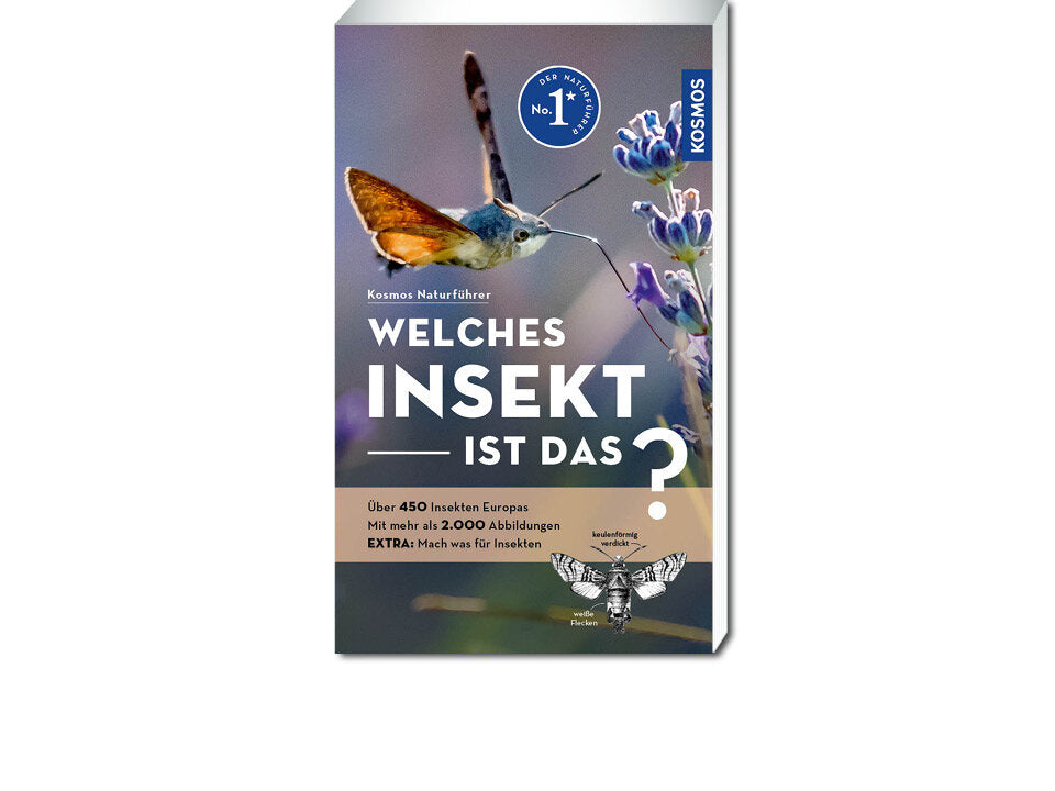 Welches Insekt ist das? Banner