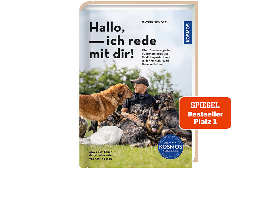 Hallo, ich rede mit dir! Banner