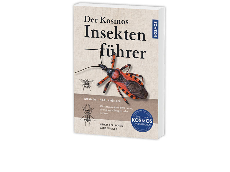 Der KOSMOS Insektenführer Banner
