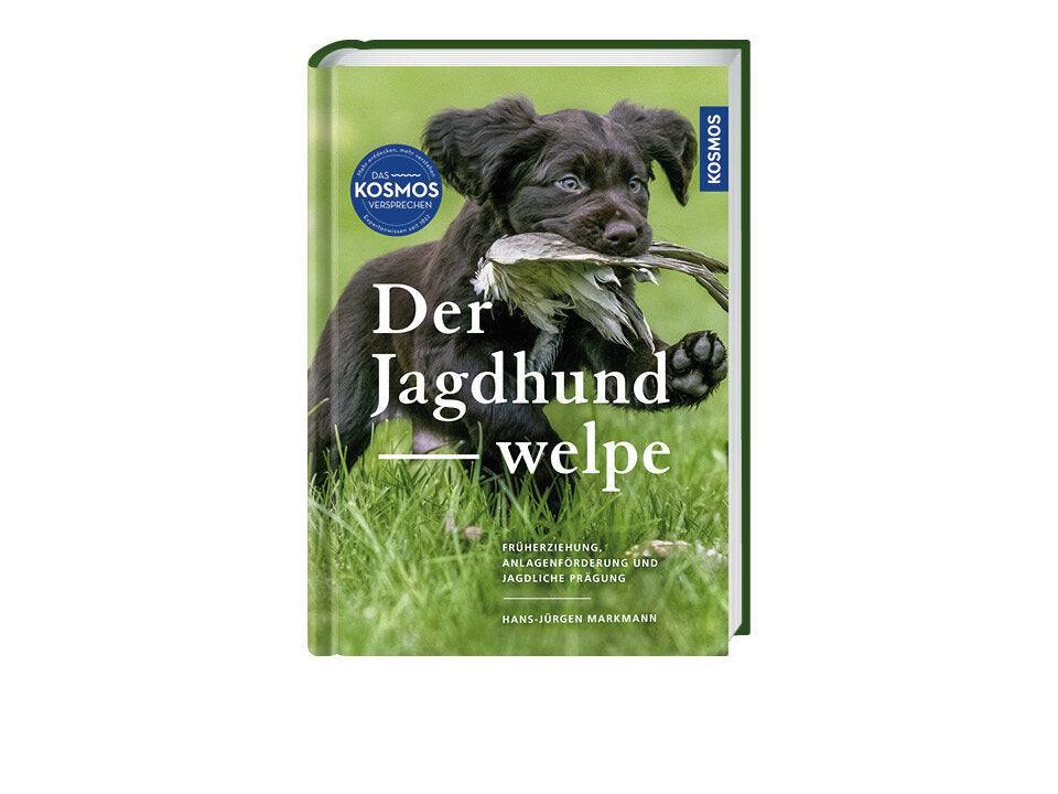 Der Jagdhundwelpe Banner