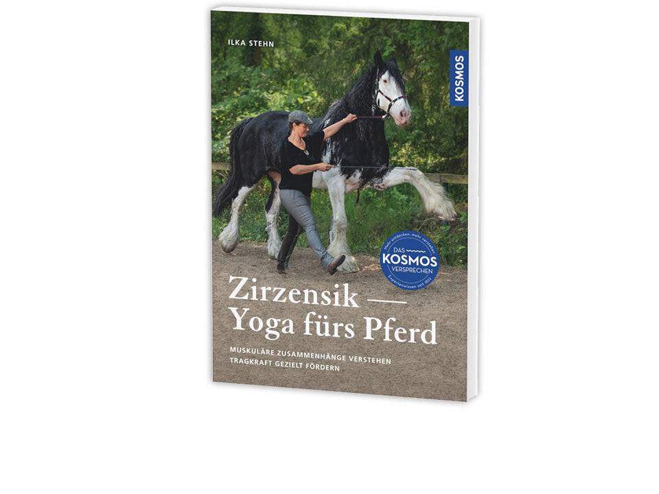 Zirzensik - Yoga fürs Pferd Banner