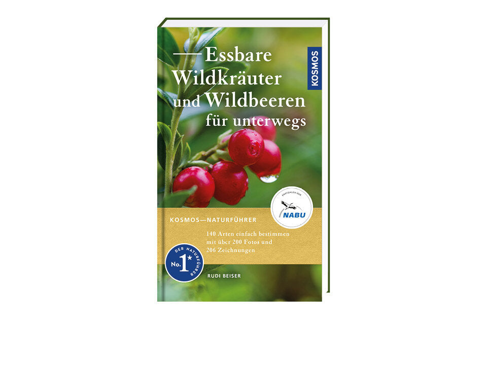 Essbare Wildkräuter und Wildbeeren für unterwegs Banner